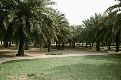 AI-generated travel thumbnail for Adh Dhagharir