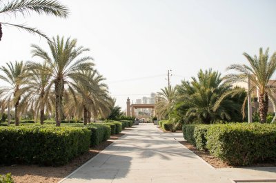 AI-generated travel thumbnail for Al Wafrah