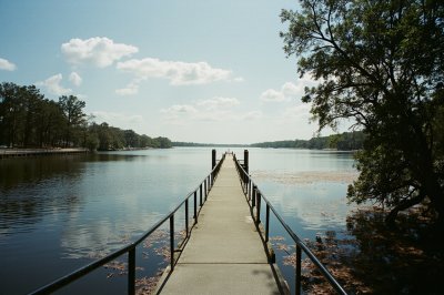 AI-generated travel thumbnail for Alachua County