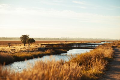 AI-generated travel thumbnail for Alberti