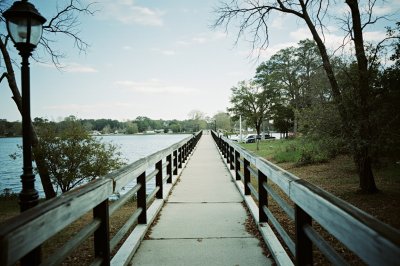 AI-generated travel thumbnail for Allen Parish