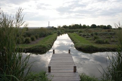 AI-generated travel thumbnail for Amiens