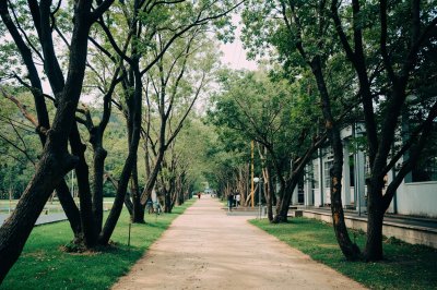 AI-generated travel thumbnail for Amphoe Kut Khaopun