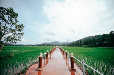 AI-generated travel thumbnail for Amphoe Mae Lao