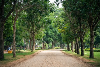 AI-generated travel thumbnail for Amphoe Non Suwan