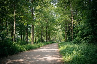 AI-generated travel thumbnail for Arzbach
