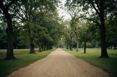 AI-generated travel thumbnail for Ashford