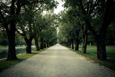 AI-generated travel thumbnail for Asigliano Vercellese
