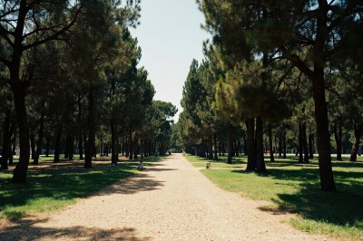 AI-generated travel thumbnail for Atzeneta d'Albaida