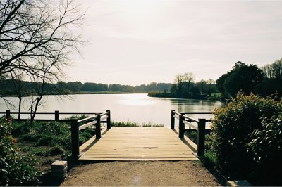 AI-generated travel thumbnail for Aubevoye