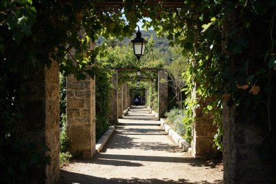 AI-generated travel thumbnail for Bascuñana