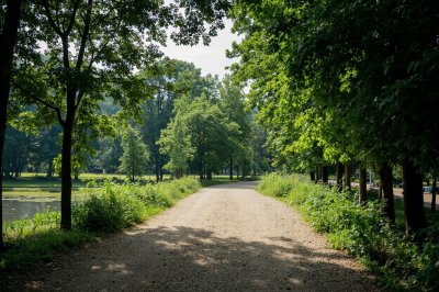 AI-generated travel thumbnail for Bausendorf