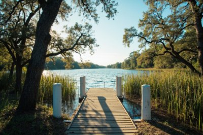 AI-generated travel thumbnail for Bayou Gauche