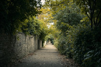 AI-generated travel thumbnail for Beaucamps-le-Vieux