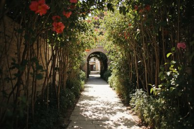 AI-generated travel thumbnail for Beit Jala