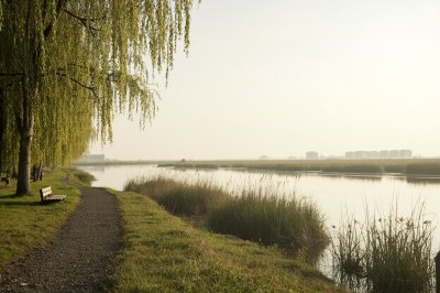 AI-generated travel thumbnail for Bijlmermeer