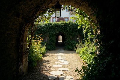 AI-generated travel thumbnail for Birken-Honigsessen