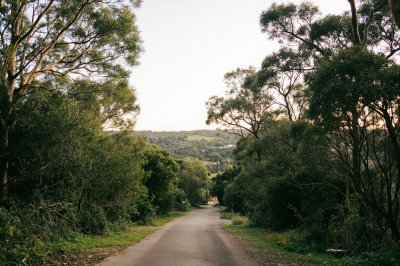AI-generated travel thumbnail for Blackalls Park