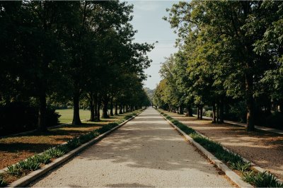 AI-generated travel thumbnail for Bogogno