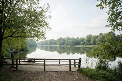 AI-generated travel thumbnail for Brachterbeek