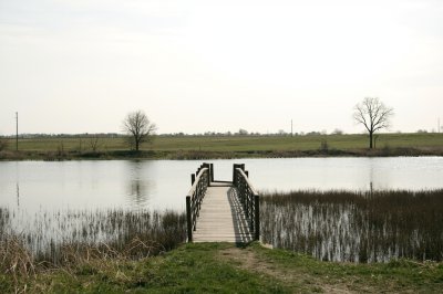 AI-generated travel thumbnail for Brønderslev Kommune