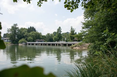 AI-generated travel thumbnail for Buggingen