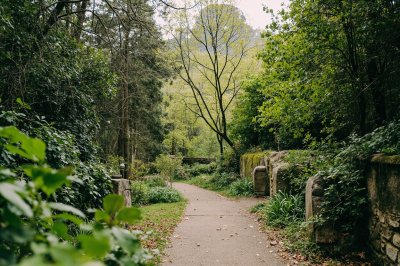 AI-generated travel thumbnail for Buis-les-Baronnies
