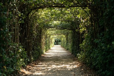 AI-generated travel thumbnail for Buxières-lès-Villiers