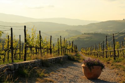 AI-generated travel thumbnail for Calamandrana
