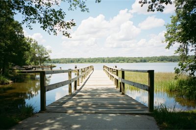 AI-generated travel thumbnail for Calhoun County