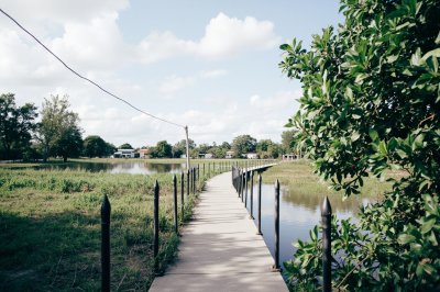 AI-generated travel thumbnail for Camp Flora