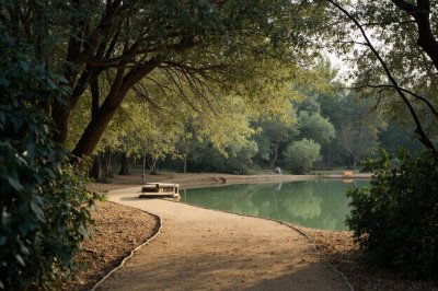 AI-generated travel thumbnail for Campo Carretero