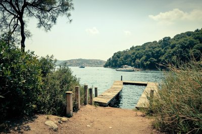 AI-generated travel thumbnail for Campo nell'Elba