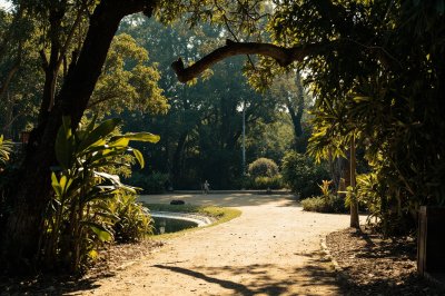 AI-generated travel thumbnail for Cañada del Tabaco