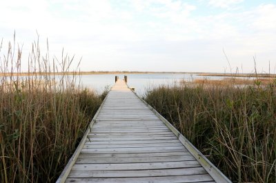 AI-generated travel thumbnail for Carlstadt