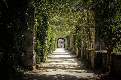 AI-generated travel thumbnail for Cerreto Langhe