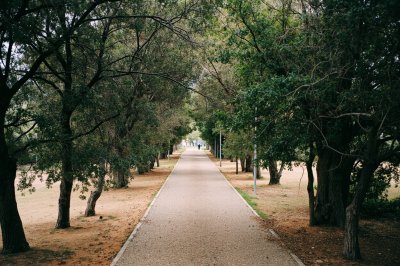 AI-generated travel thumbnail for Cervera de los Montes