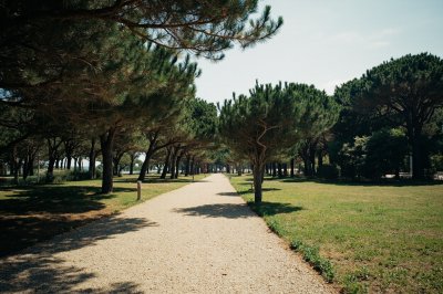 AI-generated travel thumbnail for Cervo