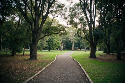 AI-generated travel thumbnail for Cherrybrook