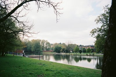 AI-generated travel thumbnail for Chessington
