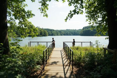 AI-generated travel thumbnail for Chester County