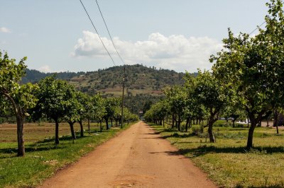 AI-generated travel thumbnail for Chiradzulu