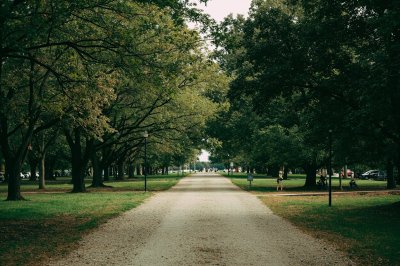 AI-generated travel thumbnail for Claryville