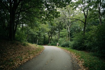AI-generated travel thumbnail for Cockrell Hill