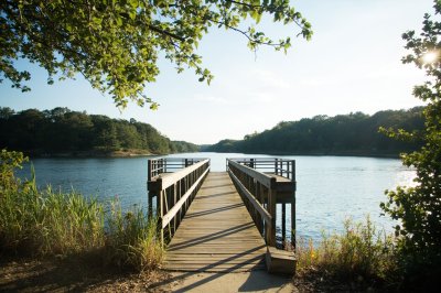 AI-generated travel thumbnail for Coffee County