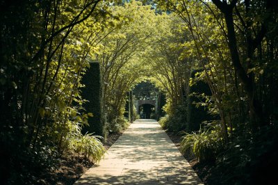 AI-generated travel thumbnail for Colesville