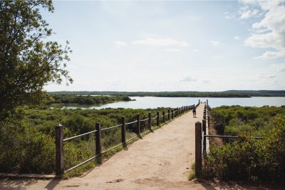 AI-generated travel thumbnail for Colonia Paso del Molino