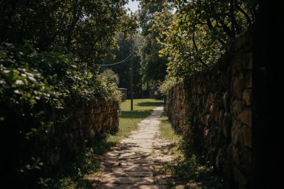 AI-generated travel thumbnail for Comuna Căneşti