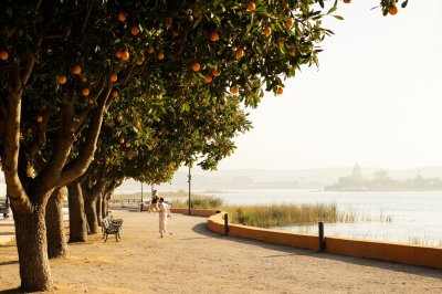 AI-generated travel thumbnail for Córdoba