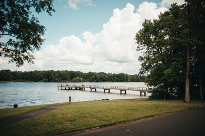 AI-generated travel thumbnail for Covington County